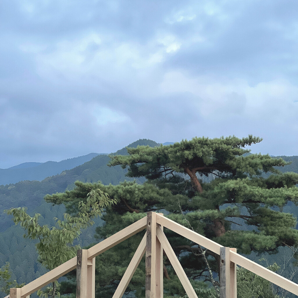 a big linkage  from a small place image