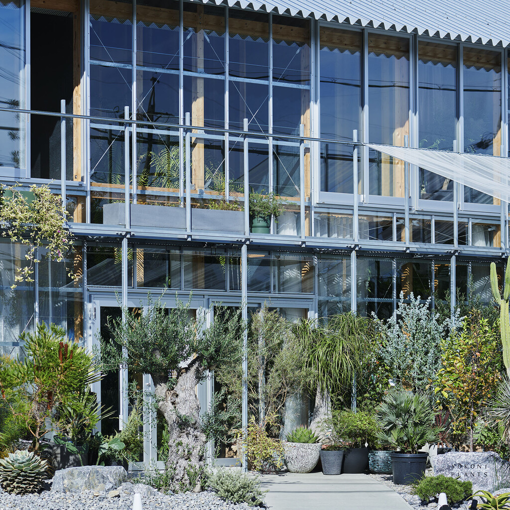 house F / shop F・YOKONI PLANTS image