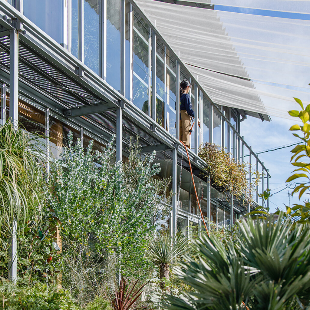 house F / shop F・YOKONI PLANTS image