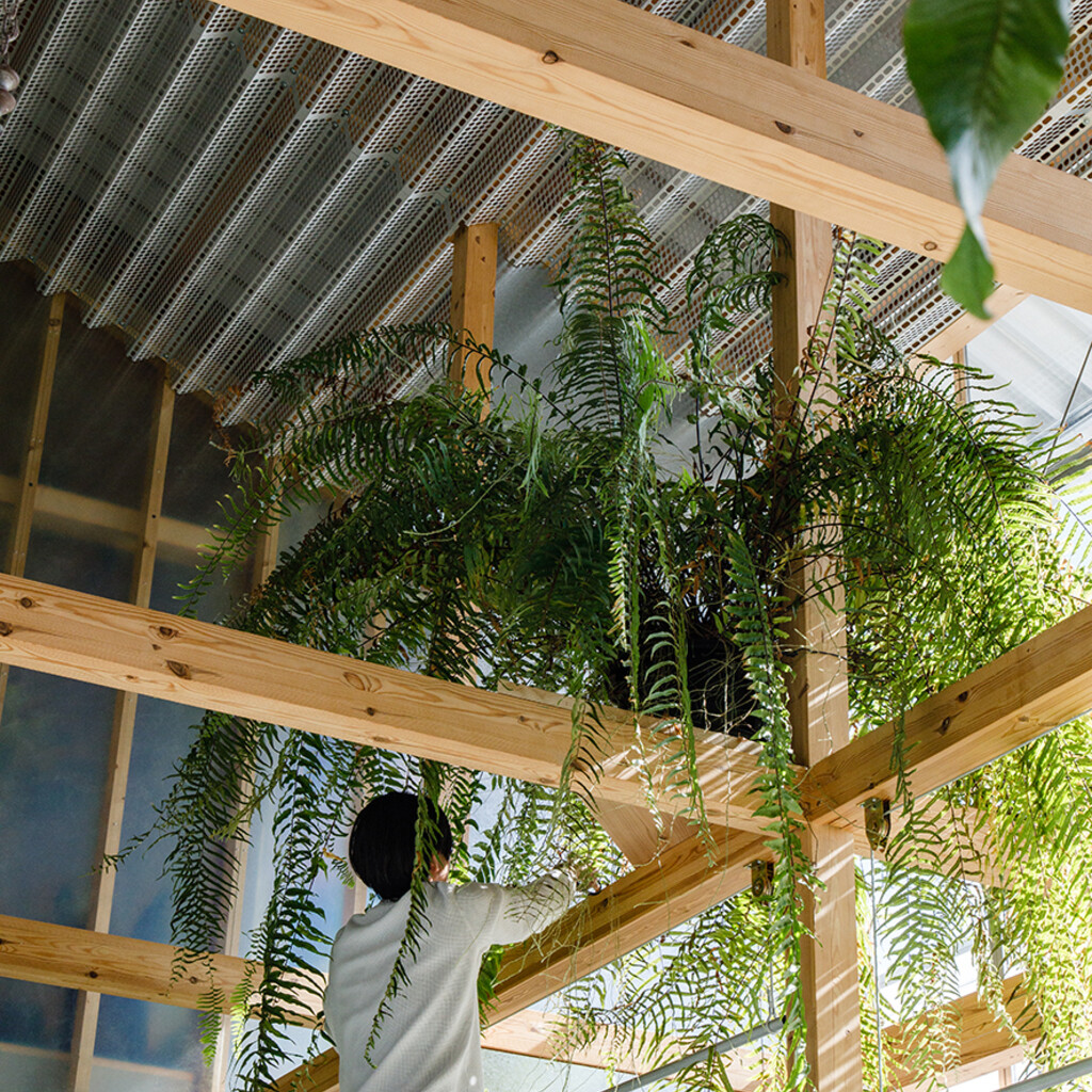 house F / shop F・YOKONI PLANTS image