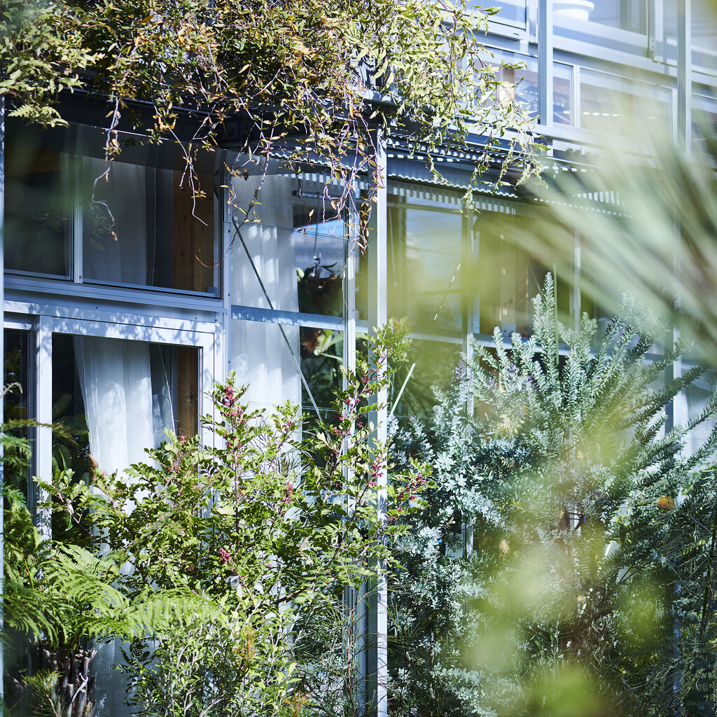 house F / shop F・YOKONI PLANTS image