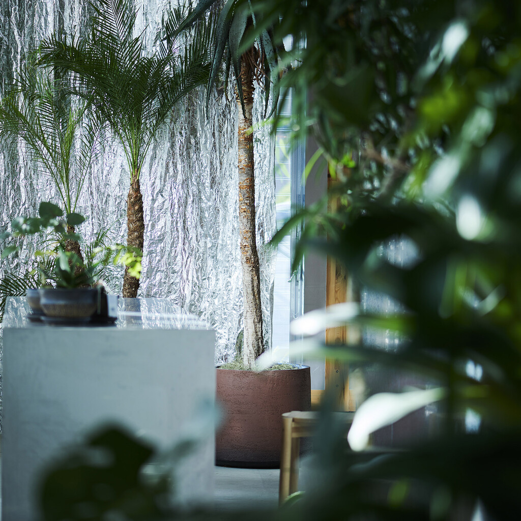 house F / shop F・YOKONI PLANTS image