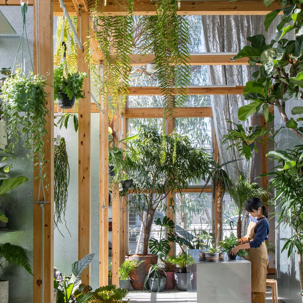 house F / shop F・YOKONI PLANTS image
