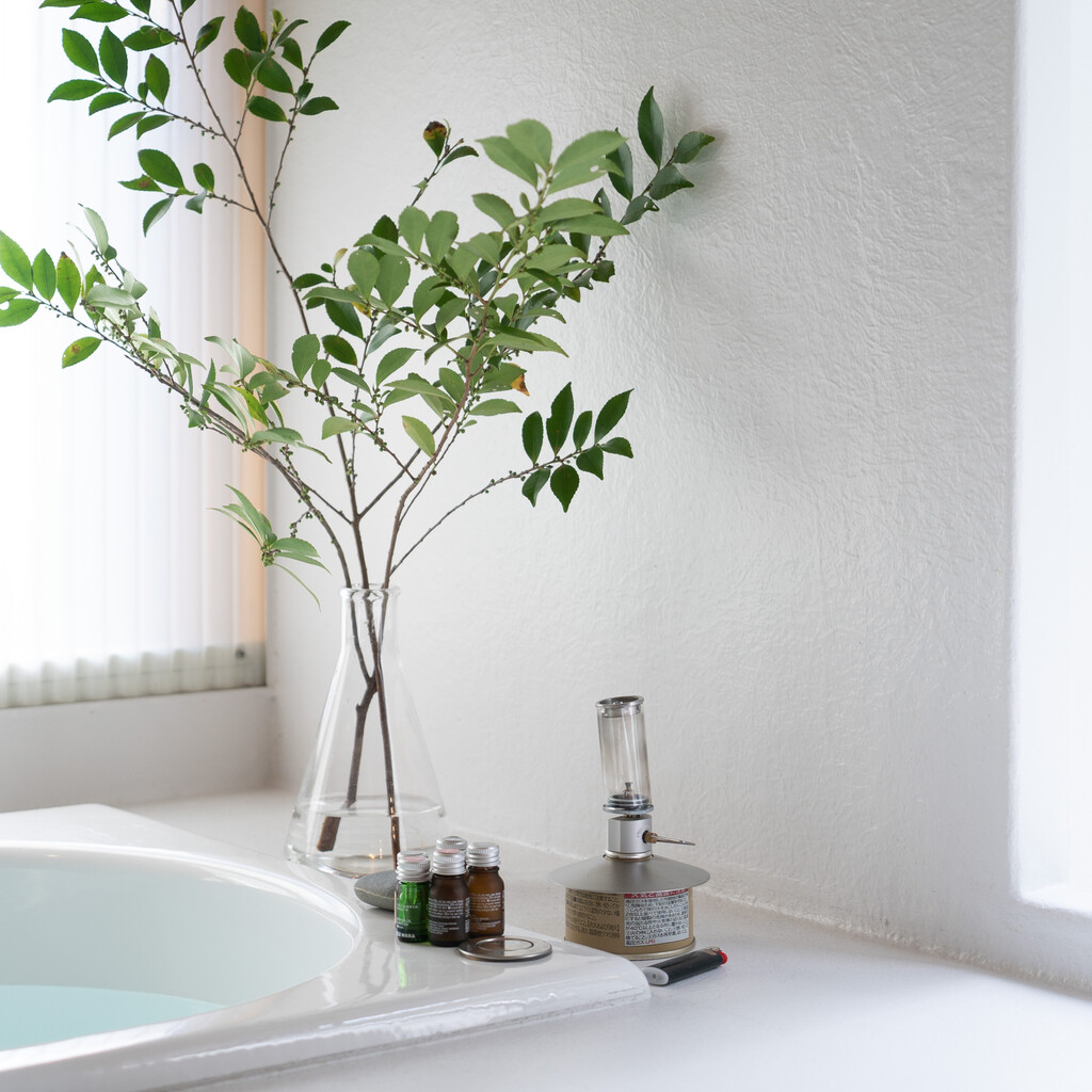 house H / studio H image