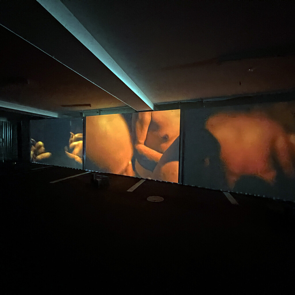 KYOTOGRAPHIE 2025 image