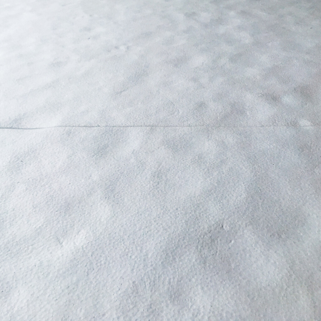 二条城の床 image