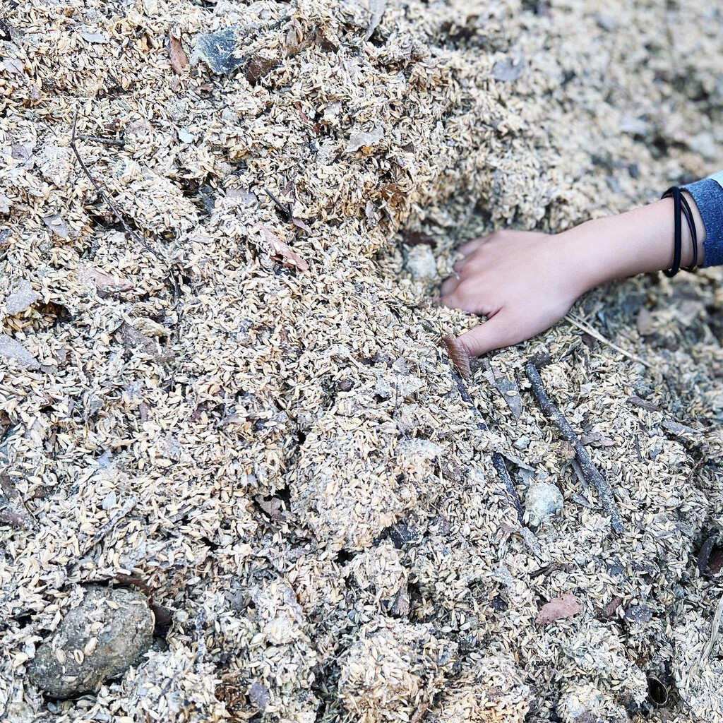 Onpaku Compost Station image